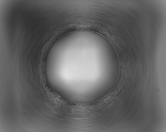 X0000083531153200702090712