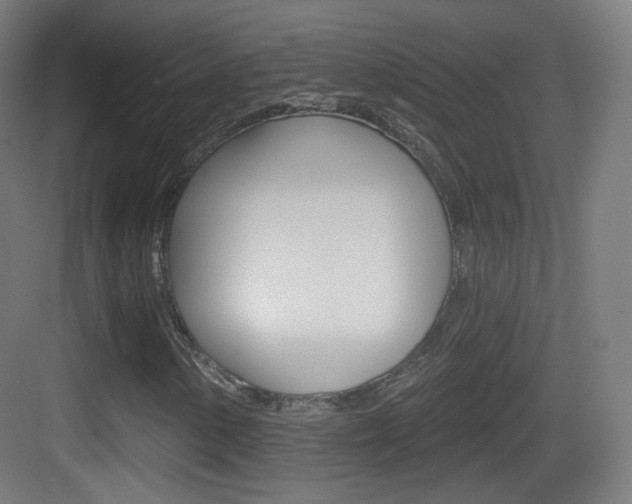 X0000083531154200702090712