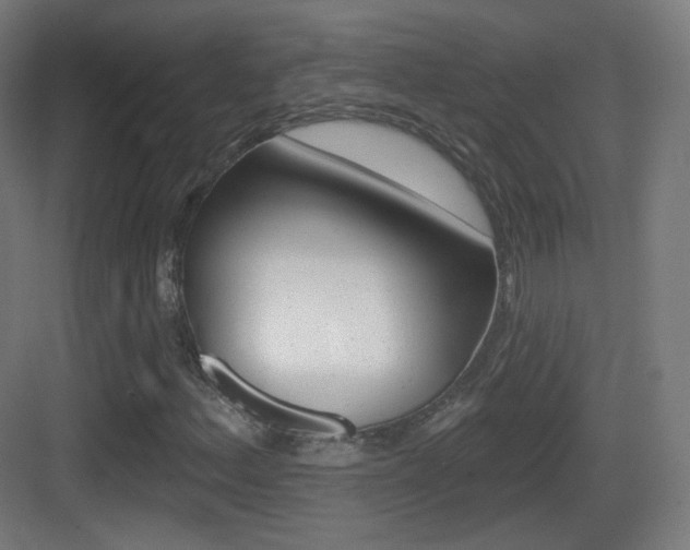 X0000083531156200702090712