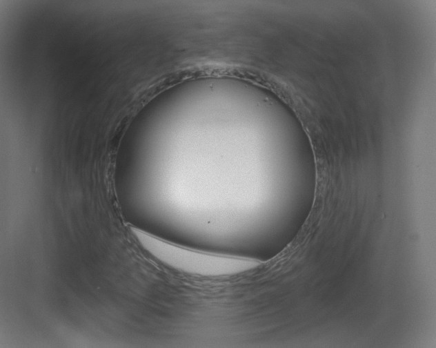 X0000083531157200702090712