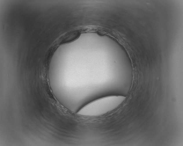 X0000083531158200702090712