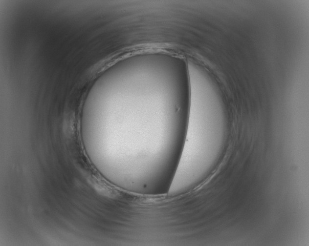X0000083531161200702090712
