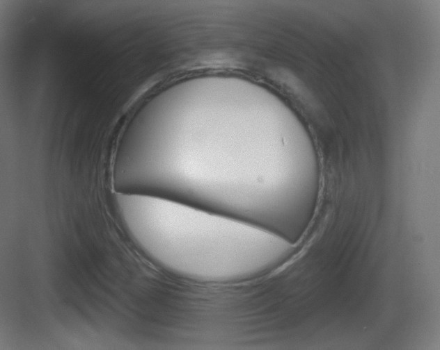 X0000083531162200702090712