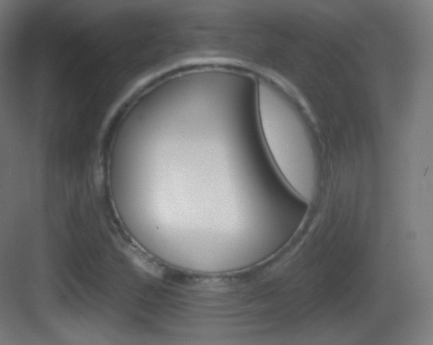X0000083531167200702090712