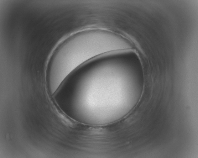 X0000083531168200702090712