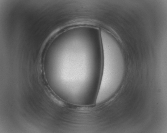 X0000083531172200702090712