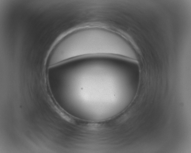 X0000083531176200702090712