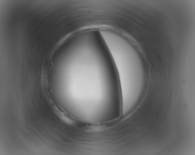 X0000083531177200702090712