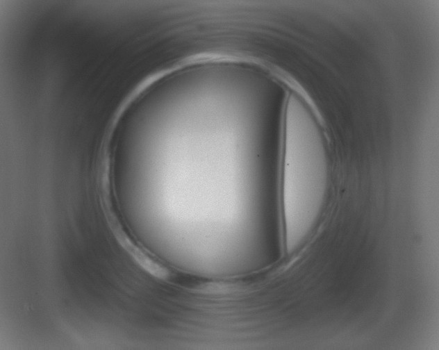 X0000083531179200702090712
