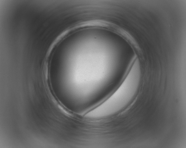 X0000083531180200702090712