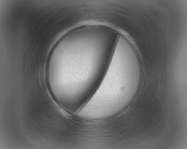 X0000083531183200702090712
