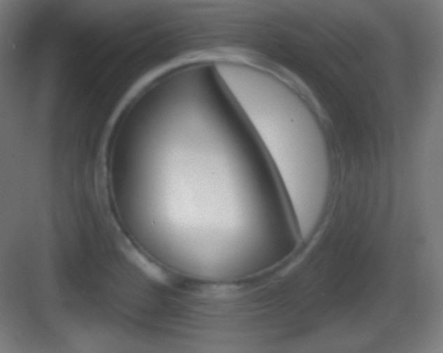 X0000083531184200702090712