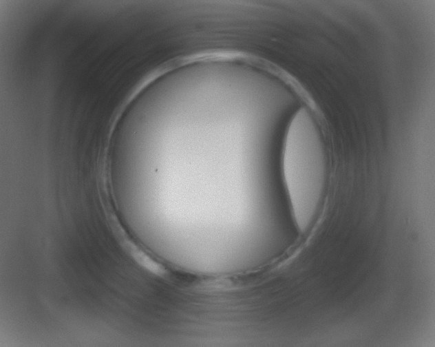 X0000083531186200702090712
