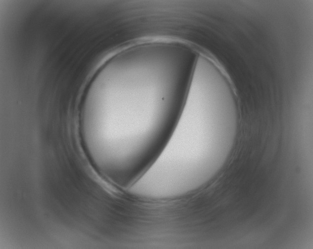 X0000083531187200702090712