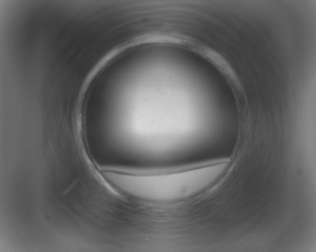 X0000083531188200702090712