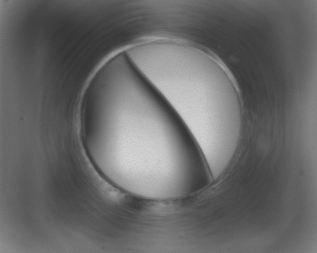 X0000083531195200702090712