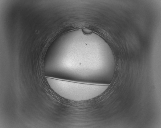 X0000083531201200702090711