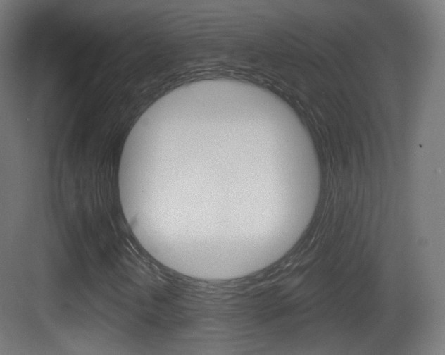 X0000083531202200702090711