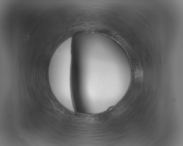 X0000083531204200702090711