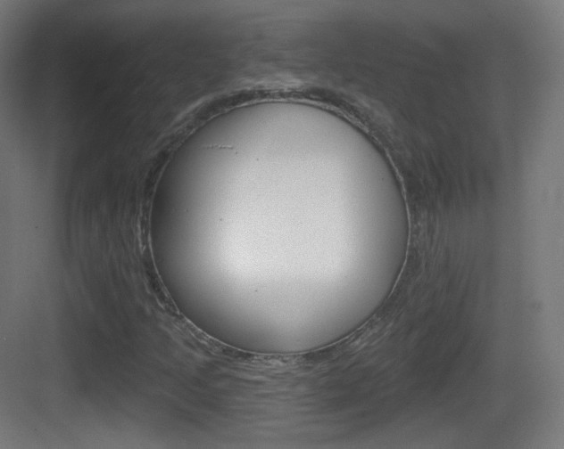 X0000083531205200702090711