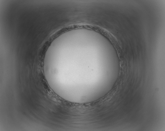 X0000083531207200702090711