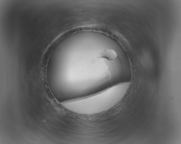 X0000083531208200702090711