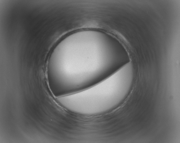 X0000083531212200702090711