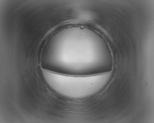 X0000083531213200702090711