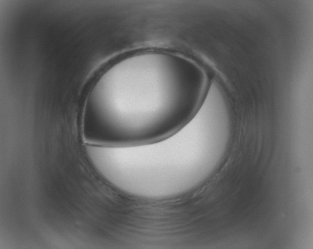 X0000083531214200702090711