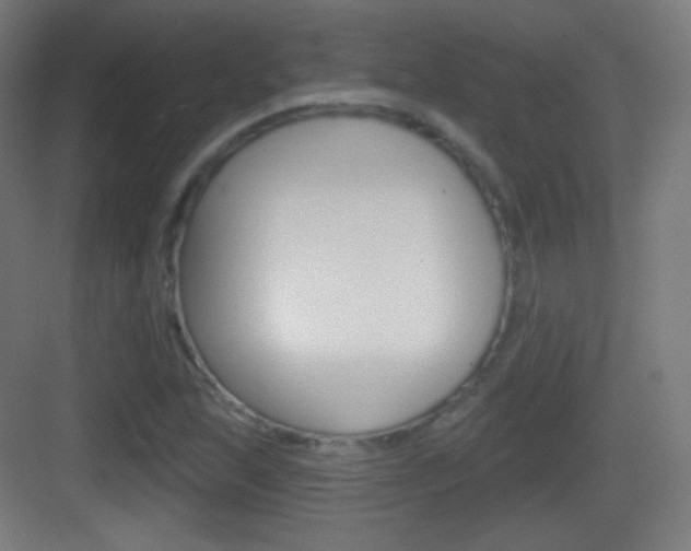 X0000083531215200702090711