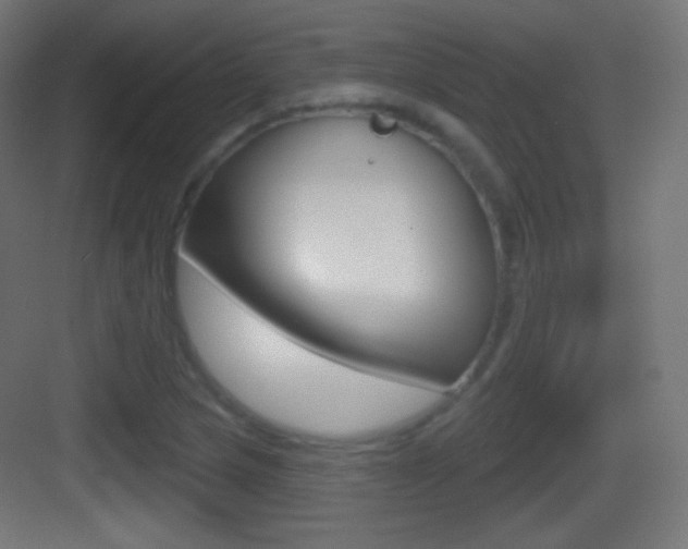 X0000083531217200702090711