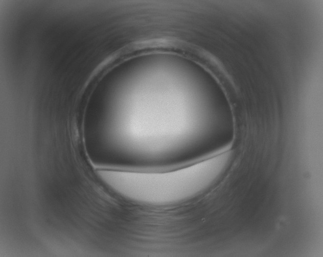 X0000083531218200702090711