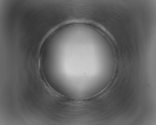 X0000083531221200702090711