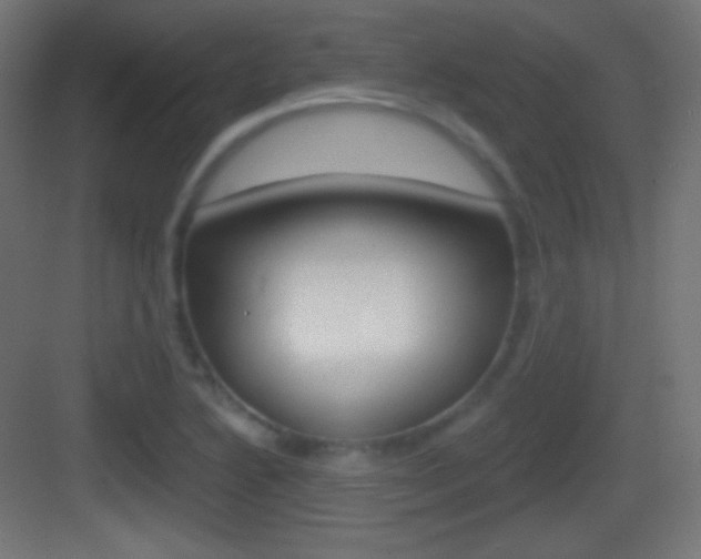 X0000083531222200702090711