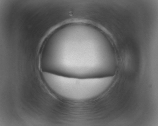 X0000083531223200702090711