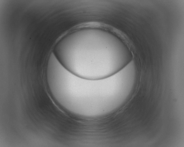 X0000083531225200702090711