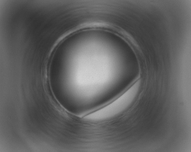 X0000083531226200702090711