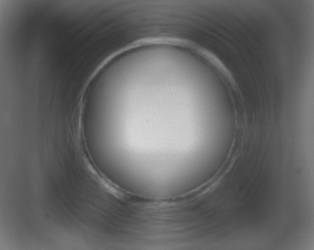 X0000083531228200702090711
