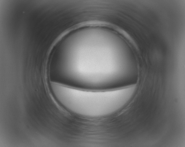 X0000083531229200702090711