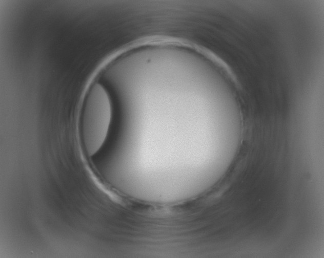 X0000083531231200702090711