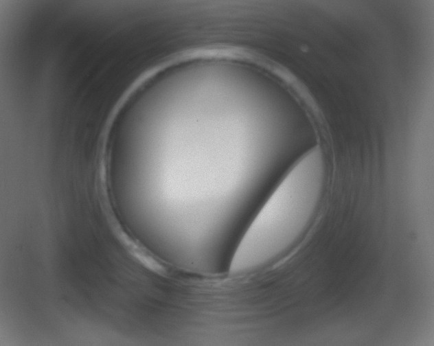 X0000083531232200702090711