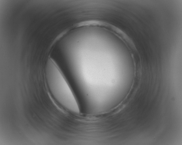 X0000083531233200702090711