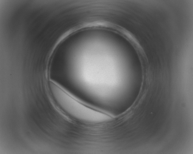 X0000083531234200702090711