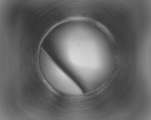 X0000083531236200702090711