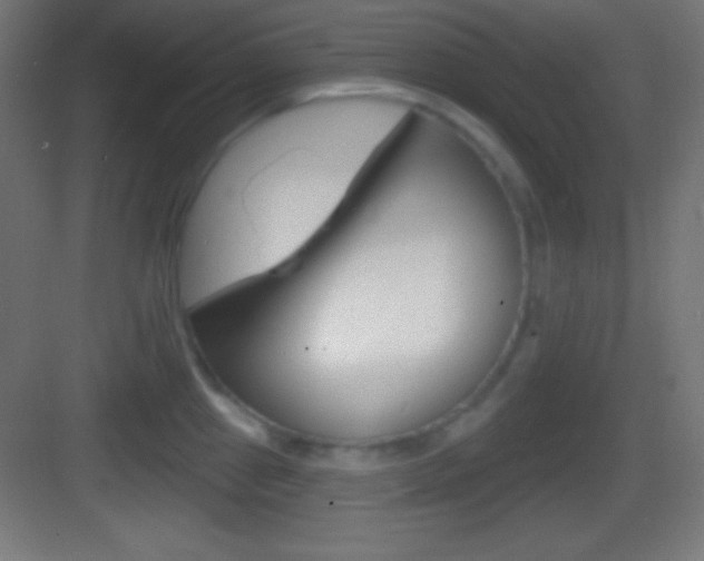 X0000083531241200702090712
