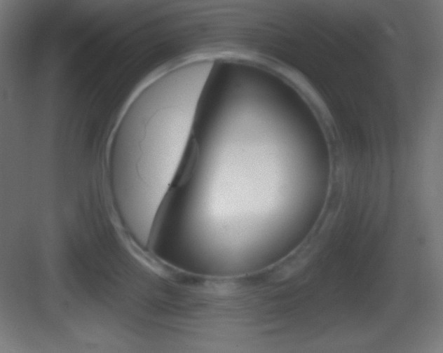X0000083531242200702090712