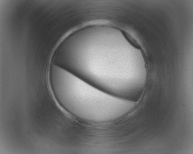 X0000083531245200702090712