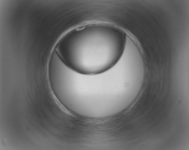 X0000083531246200702090712