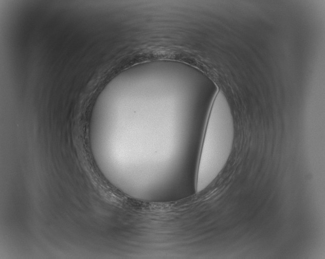 X0000083531249200702090711