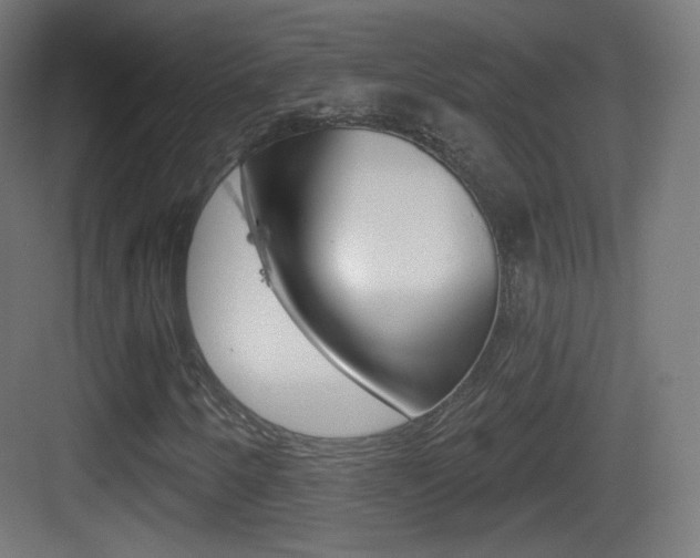 X0000083531250200702090711